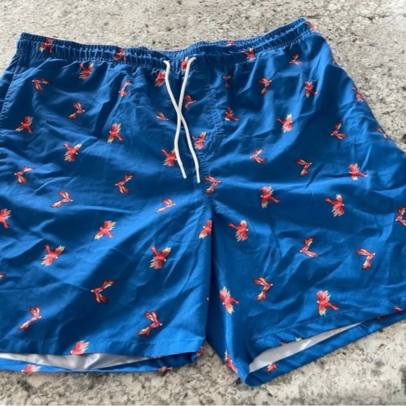Old Navy Blue Swim Trunks with Parrot Design size XL - Picture 1 of 3
